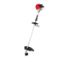 Immagine di DECESPUGLIATORE PLAYCUT BC 450